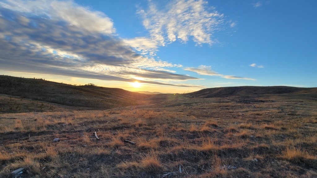 Oh, give me a&nbsp;home….