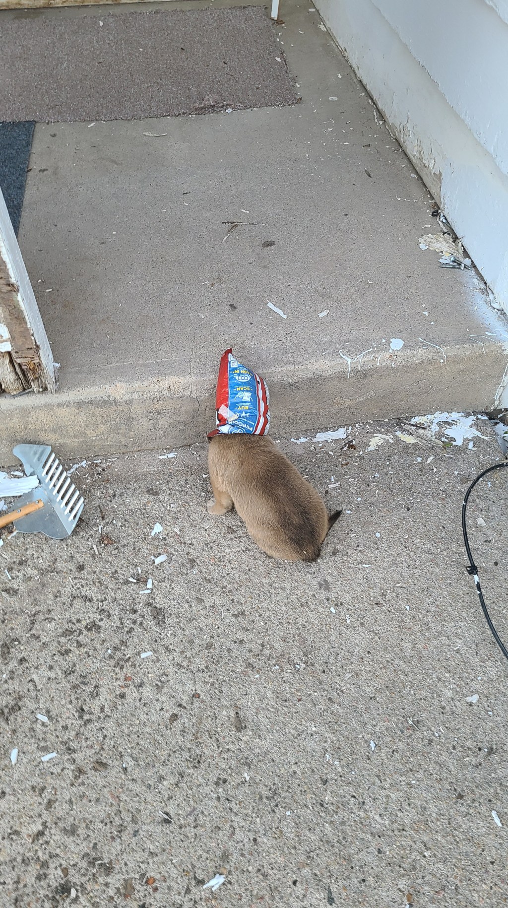 It is about&nbsp;Love